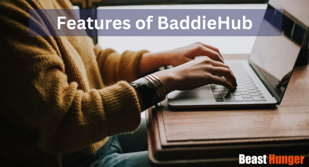 Features of BaddieHub
