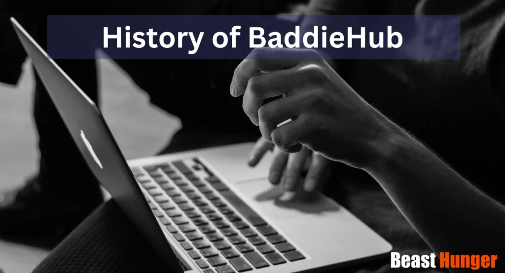 History of BaddieHub