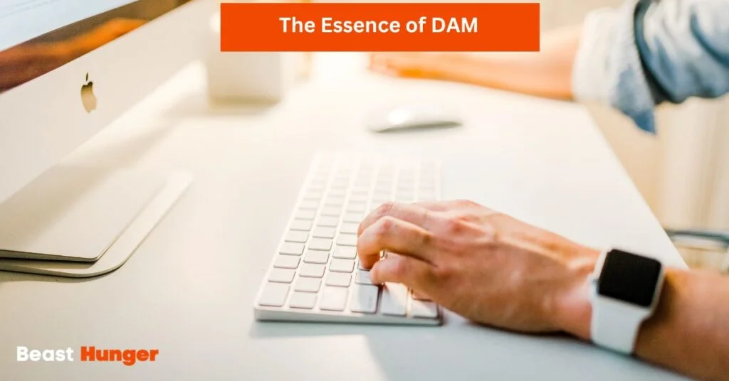 The Essence of DAM