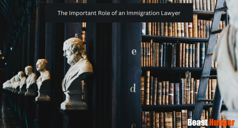 best immigration lawyer