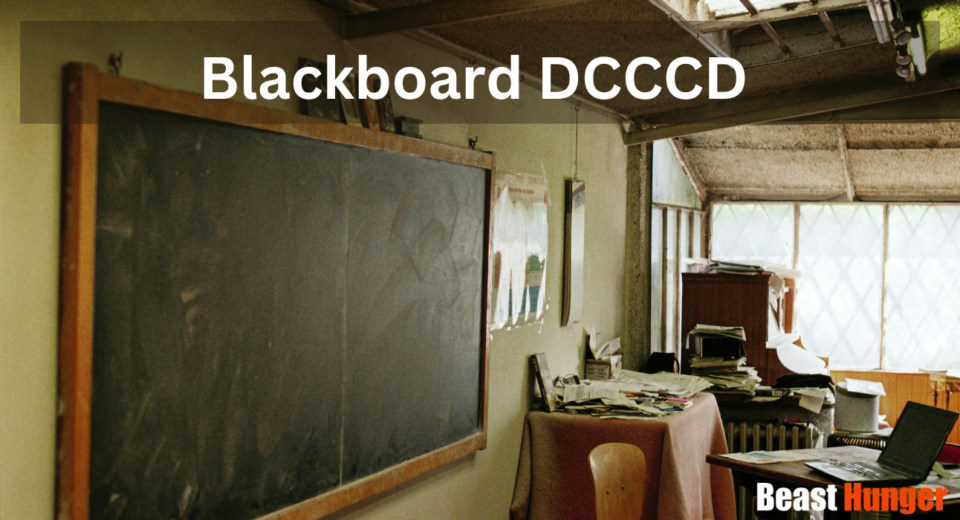 blackboard dcccd