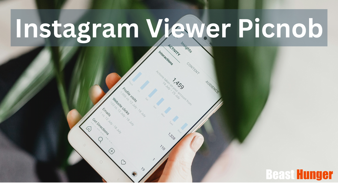 Instagram Viewer Picnob
