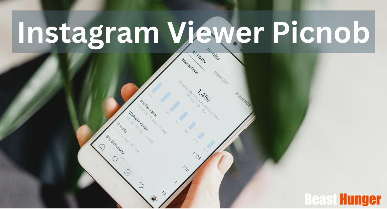 Instagram Viewer Picnob