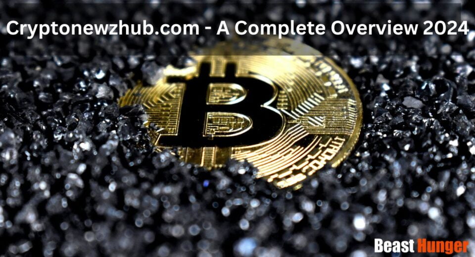 Cryptonewzhub.com - A Complete Overview 2024