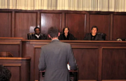 Exploring the Different Landscape of Arguments in a Court of Law